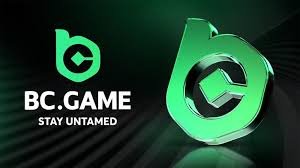 In-Depth BC.Game User Reviews Insights and Experiences