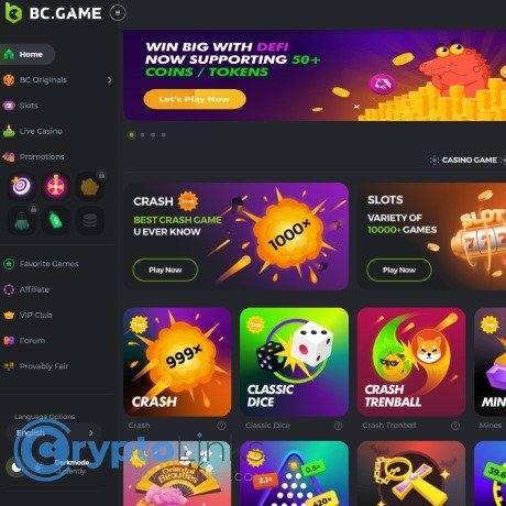 In-Depth BC.Game User Reviews Insights and Experiences