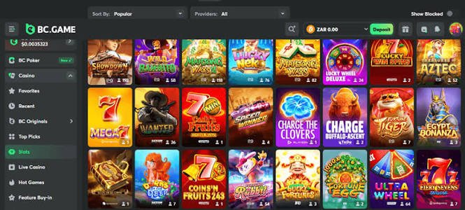 Understanding the BC.Game Login Process A Step-by-Step Guide